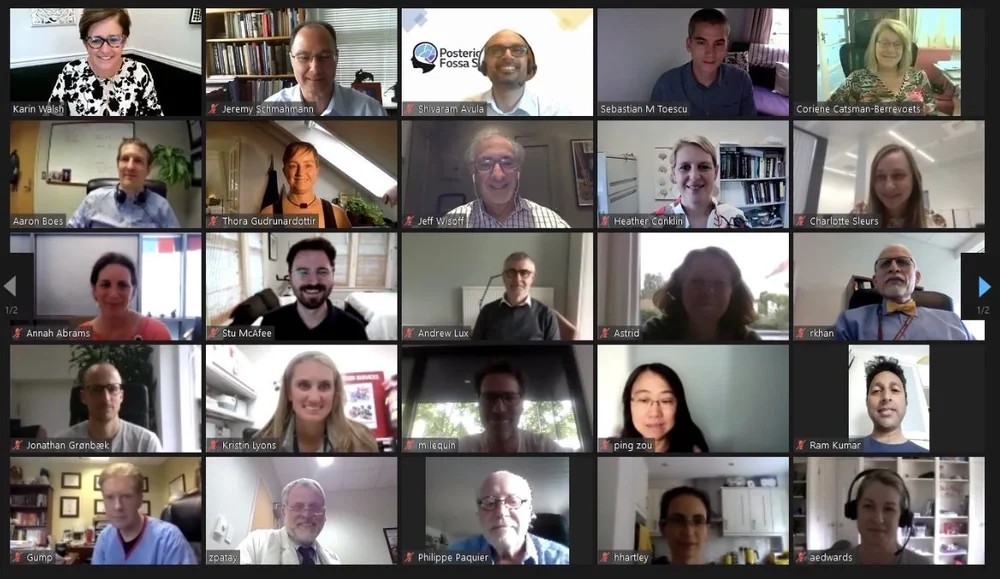 Virtual attendees at the June 2021 meeting